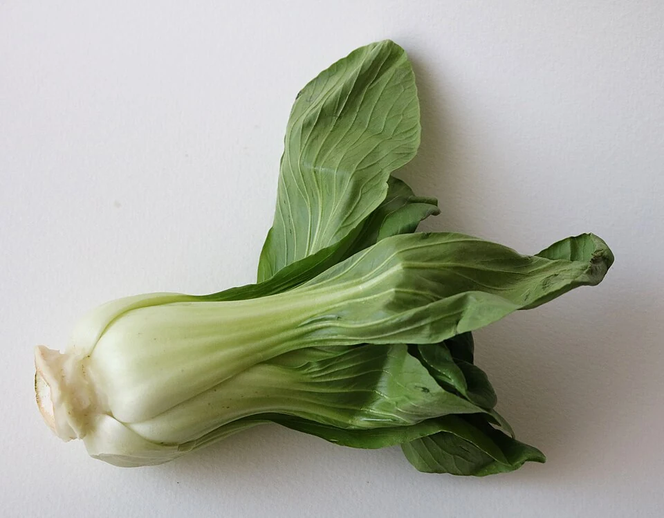 Bok choy -1.jpg
