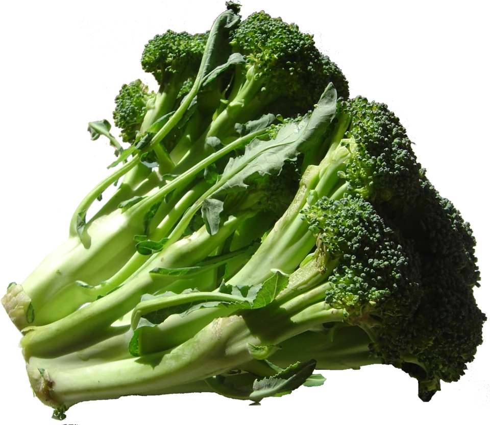 Broccoli DSC00862.png