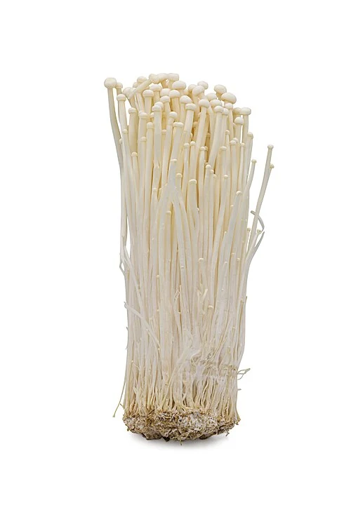 Enoki mushroom.jpg