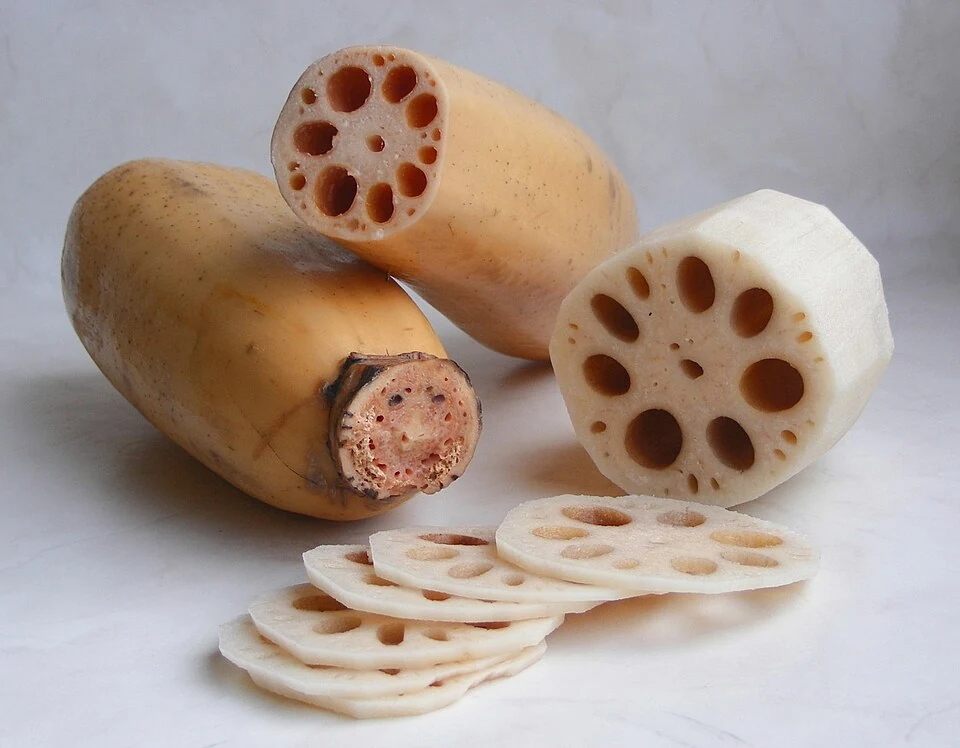 Lotus root.jpg