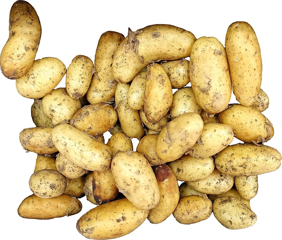 Potatoes 2.jpg