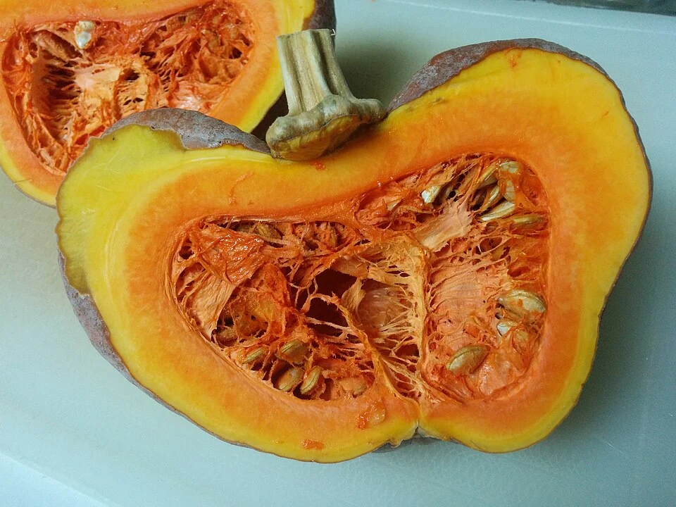 Pumpkin in Japan, cut.jpg