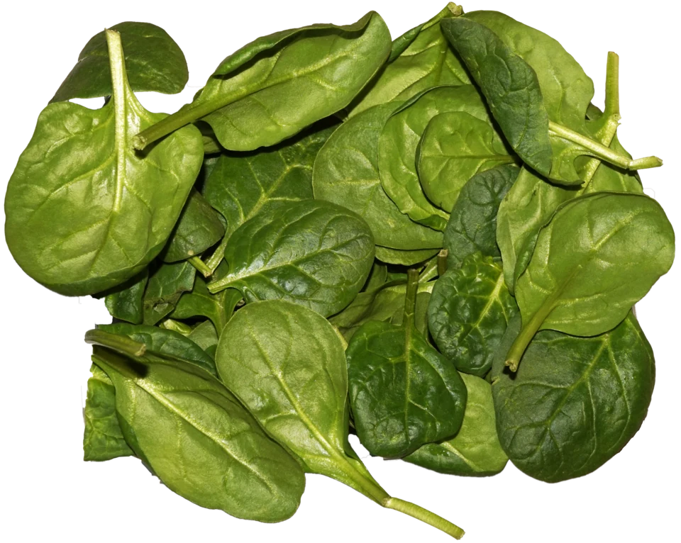 Spinach leaves.png