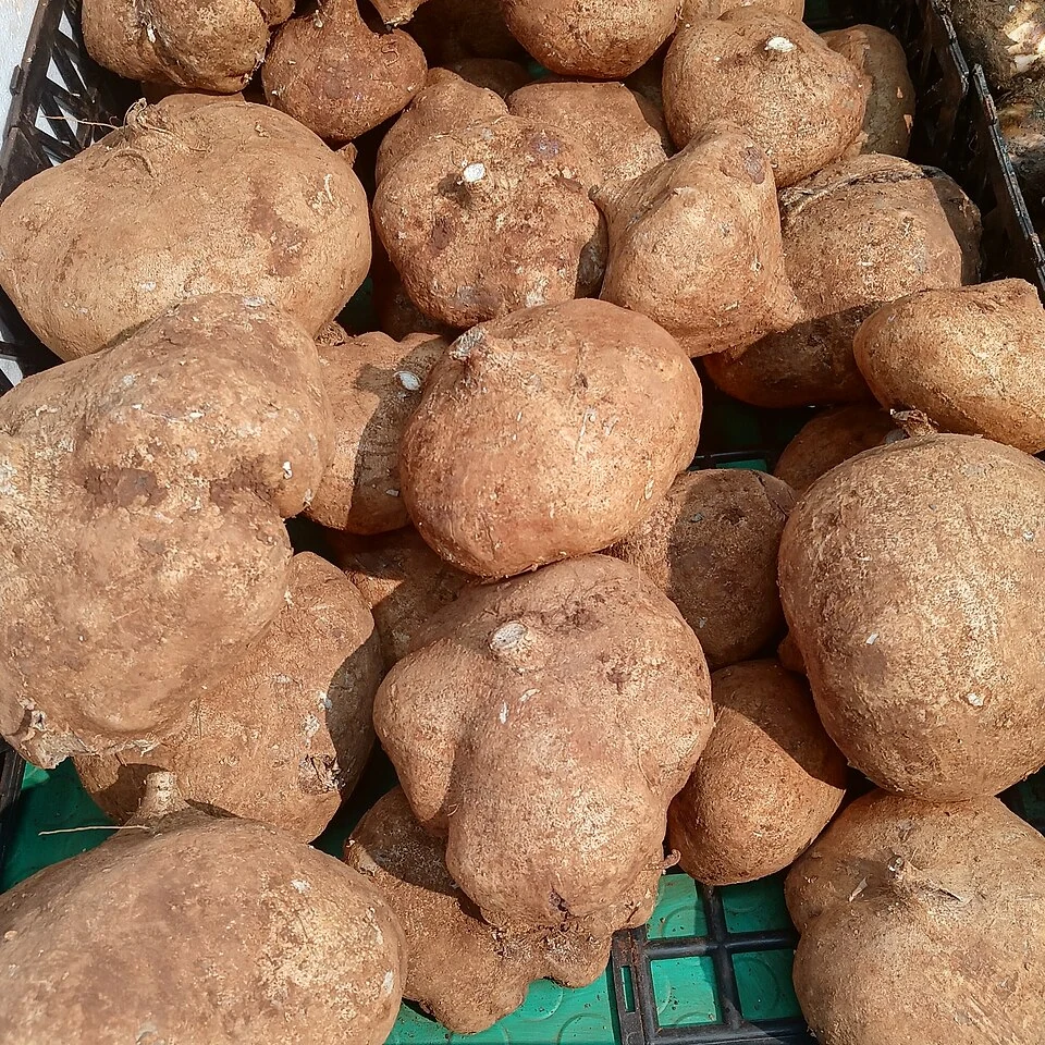 Raw sweet potato.jpg