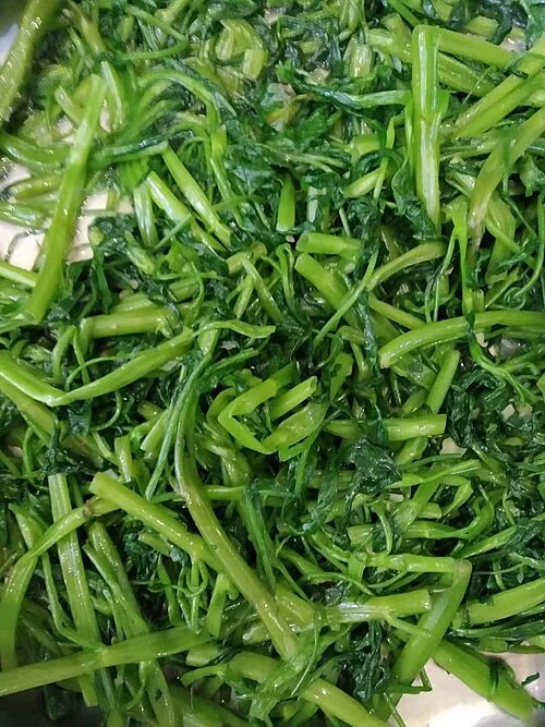 空心菜 - 深圳.jpg
