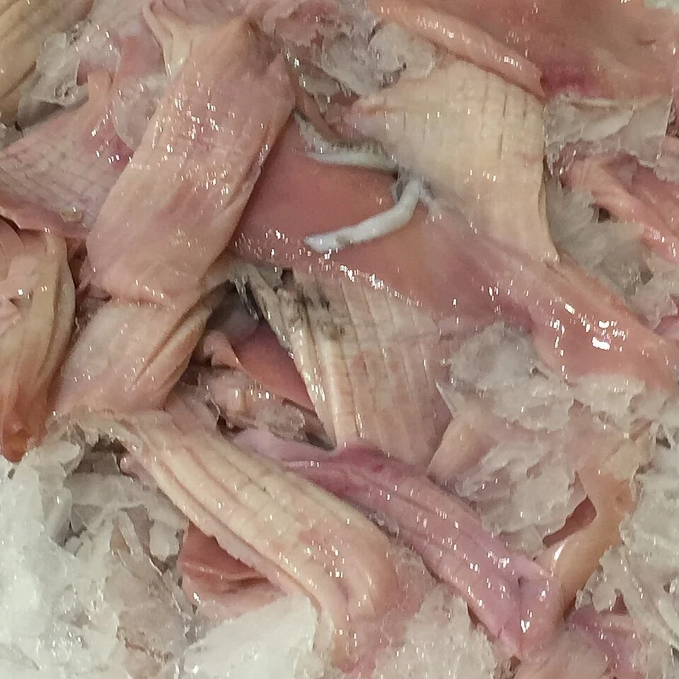 Frozen fresh squid flowers.jpg