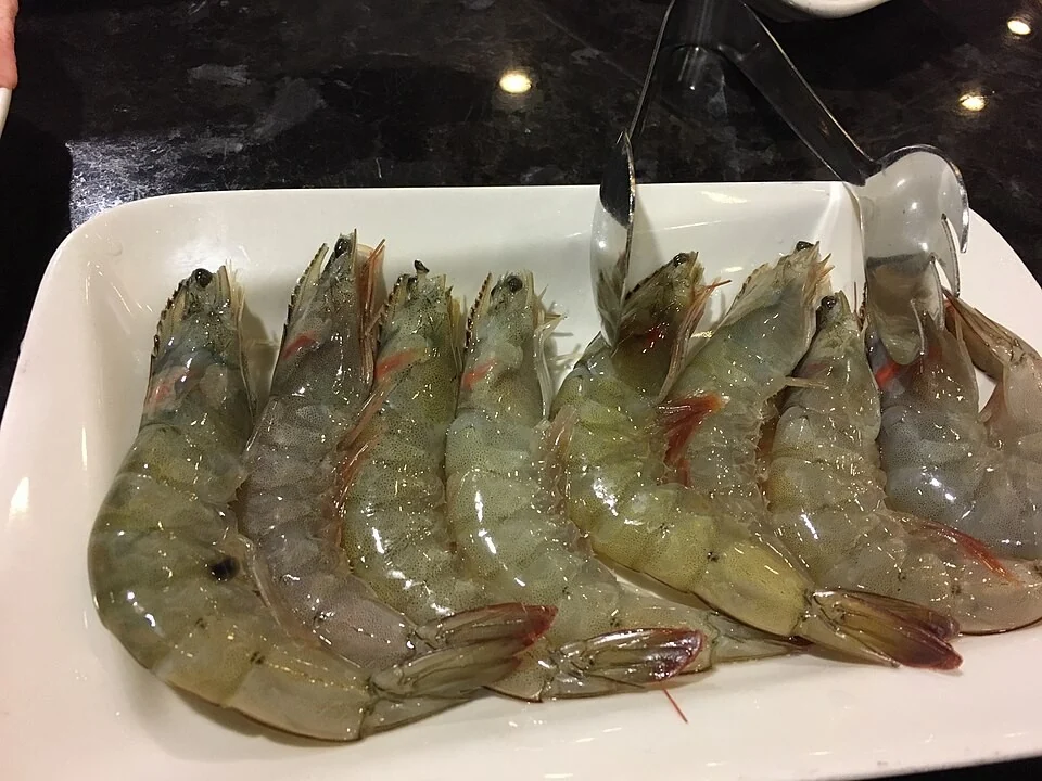 Raw Shrimp on Plate 1 2017-01-22.jpg